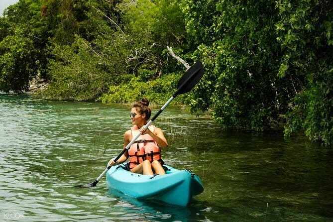 Langkawi Mangrove Kayaking Tour - Final Thoughts