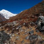 Langtang Valley Trek - Day 3: Approaching the Langtang Range