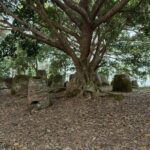 Laos tours package plain of jars to Luang prabang - The Sum Up