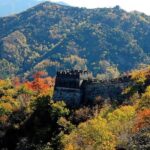 Layover Private Self-guide Tour To Forbidden City and Mutianyu Great Wall - Why This Tour Offers Great Value