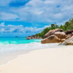 Lazy Similan Islands : Catamaran, Snorkeling & Lunch in Paradise - What Makes This Tour Stand Out?