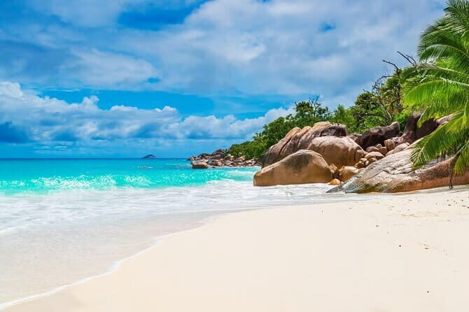 Lazy Similan Islands : Catamaran, Snorkeling & Lunch in Paradise - What Makes This Tour Stand Out?
