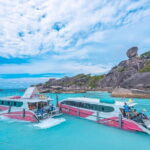 Lazy Similan Snorkeling by Speed Catamaran from Phuket - The Realities & Drawbacks: What to Expect