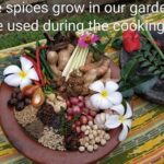 Learn how to make authentic Sumatran dishes using traditional spices - Final Thoughts
