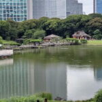 Learnig History of Tokyo in Depth with a Certified tour guide - Practical Details and What to Expect