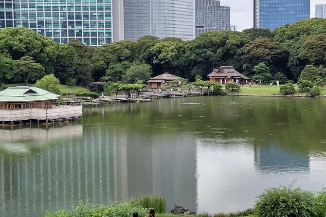 Learnig History of Tokyo in Depth with a Certified tour guide - Practical Details and What to Expect