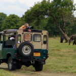 LEOPARDS Wilpattu Wild Life Day Tour - Whats Included & Whats Not