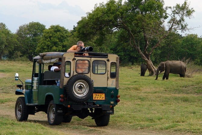 LEOPARDS Wilpattu Wild Life Day Tour - Whats Included & Whats Not