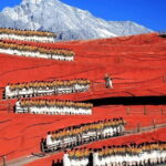 Lijiang Private Day Tour: Jade Dragon Snow Mountain and Impression Lijiang Show - Exploring Blue Moon Valley