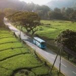 LION KING - Sinharaja Rain Forest Day Tour - The Itinerary Breakdown: What Makes Each Part Special