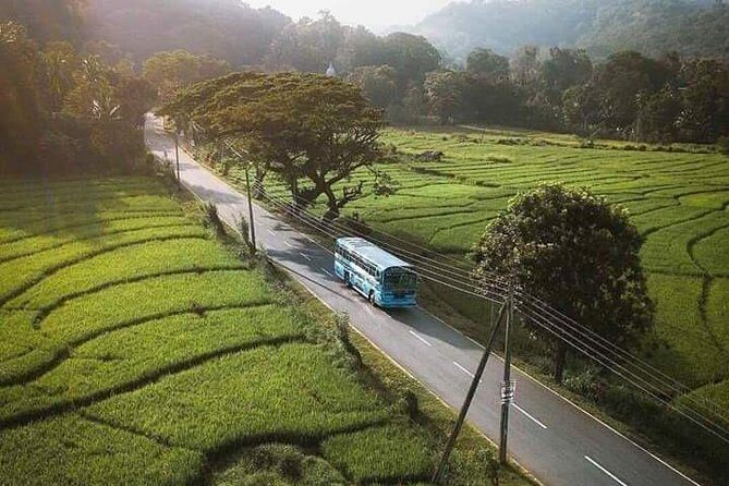 LION KING - Sinharaja Rain Forest Day Tour - The Itinerary Breakdown: What Makes Each Part Special