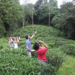 Little Adams peak Trekking with Birds Watching .. - Who Should Consider This Tour?