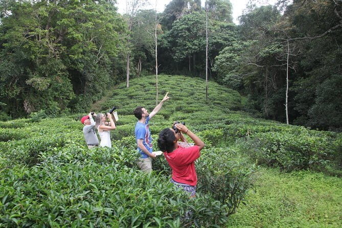 Little Adams peak Trekking with Birds Watching .. - Who Should Consider This Tour?