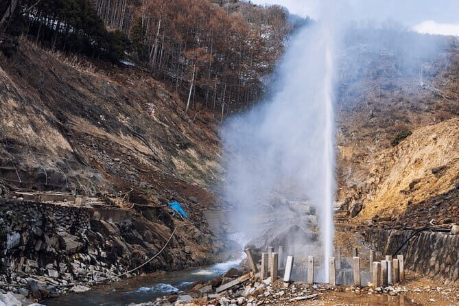 Local Private Tour to Jigokudani Snow Monkey Park - The Sum Up: Who Should Consider This Tour?