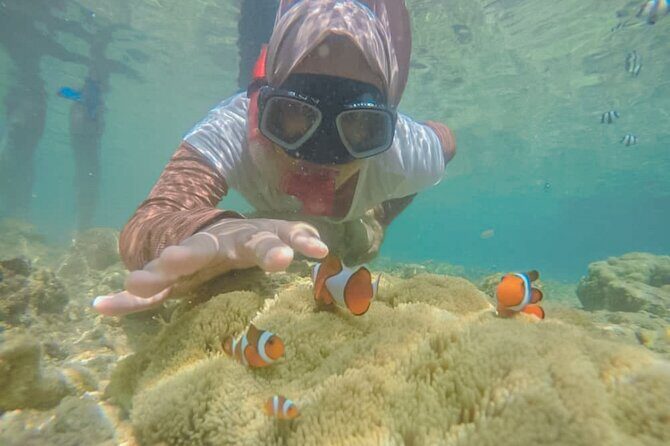 Lombok Customize Tour - What You Can Expect from the Lombok Customize Tour