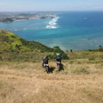 Lombok Pink Beach Island Hopping and Snorkeling Trip - What We Think About the Value