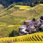 Longji Rice Terrace Private Day Tour from Yangshuo - Authenticity and Value: What Travelers Say