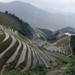 Longji Rice Terraces Day Tour from Xingping hotel - Authentic Insights from Past Travelers