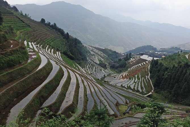 Longji Rice Terraces Day Tour from Xingping hotel - Authentic Insights from Past Travelers