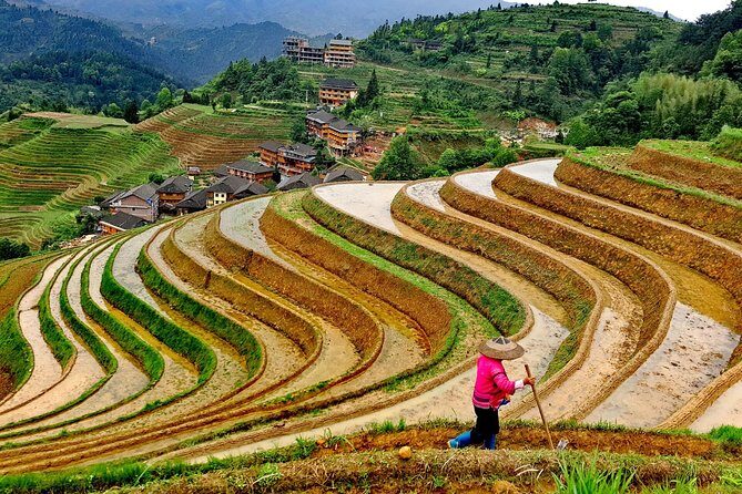 Longji Rice Terraces Day Tour with the Ping'an and Dazhai Village - The Value of the Tour