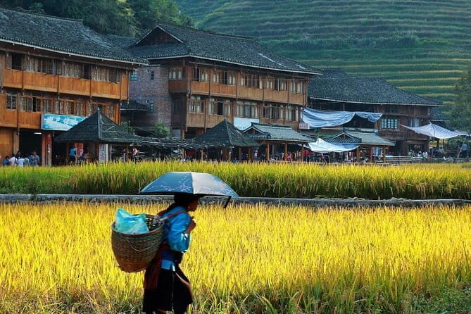Longji Rice Terraces Field Private Full Day Tour - A Complete Breakdown of the Tour Experience