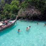 Longtail Boat Snorkeling in Phi Phi Island - What Reviewers Say