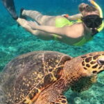 Lovina Watching Dolphin with Sunrise-Snorkeling-Waterfall Tour - The Sum Up