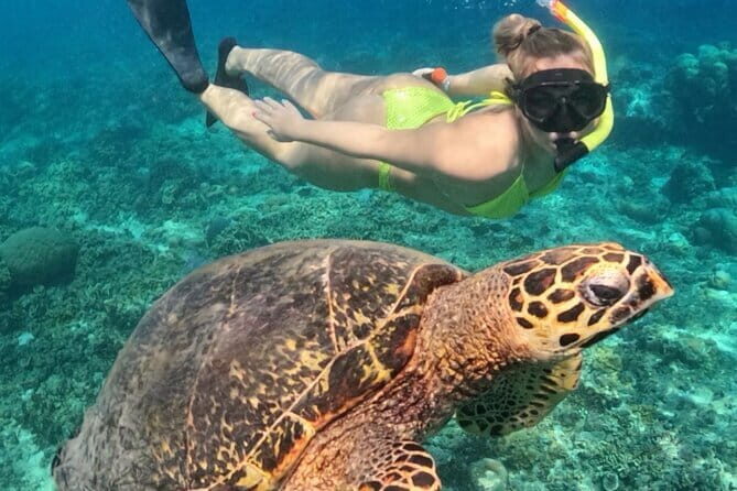 Lovina Watching Dolphin with Sunrise-Snorkeling-Waterfall Tour - The Sum Up