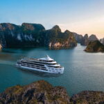 Luna Cruise Halong Bay: Best Luxury Day Tour from Hanoi - Who Is This Tour Best Suited For?