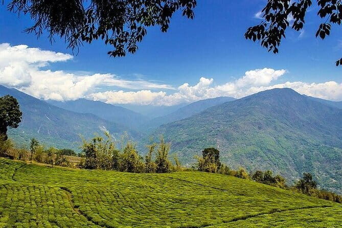 Lush Malabar Coast And Colorful Kerala - A 6 Day Private Tour - Transportation, Accommodation, and Food