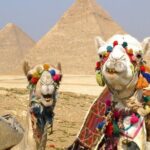 Luxury Camel Ride Around Giza Pyramids with Panoramic view - Who Should Consider This Tour?