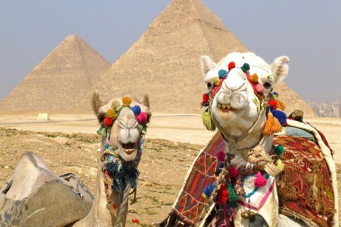 Luxury Camel Ride Around Giza Pyramids with Panoramic view - Who Should Consider This Tour?