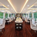 Luxury Halong Bay Day Cruise: Buffet Lunch & Limousine Transfer - What’s Included and What to Consider