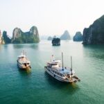 Luxury Halong Bay Day Tour - 6 hours cruising - Limousine transfers - What’s Included and What’s Not