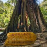LUXURY Private day tour: Thailand & Malaysia KL (2 countries) from Singapore - FAQ