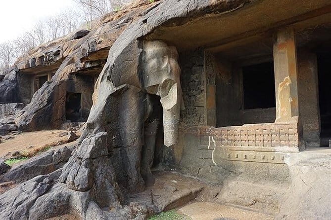 Luxury Treehouse Camping in Raigad - Practical Details and Tips