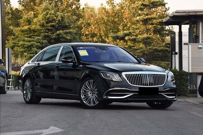 Luxury Vehicle with Private Guide to Mutianyu Great Wall and Summer Palace - Practical Aspects and What Travelers Say