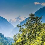 Magical Manali Honeymoon Package - Real-World Insights From Reviews