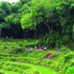 Mai Chau 2 days 1 night visiting, biking Buoc village depart from Hanoi Center - Transportation & Logistics: Comfort and Convenience