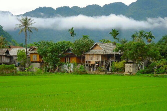 Mai Chau BEST Day Trip: Explore Hidden Charms, Peaceful Villages - What We Love About This Tour