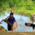 Mai Chau - Pu Luong 2 days group tour - Transportation and Group Dynamics