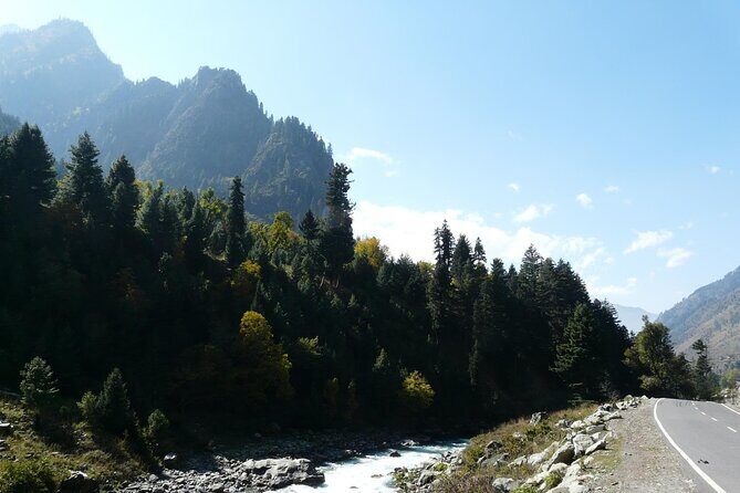 Majestic Sonamarg: A Day Trip to the Meadow of Gold from Srinagar - What’s Included and What’s Not