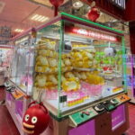 Make Your Own Tokyo Tour with an Experienced/Certifed Guide - What’s Included, What’s Not