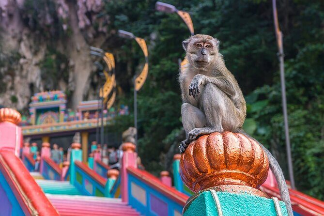 Malaysia Countryside and Batu Caves Tour from Kuala Lumpur - Practical Details and How It Fits into Your Travel