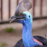 Malaysia: Langkawi Wildlife Park Entry Ticket - Who Will Love This Experience?