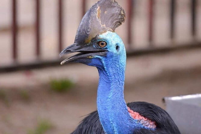 Malaysia: Langkawi Wildlife Park Entry Ticket - Who Will Love This Experience?