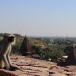 Mandore Garden Walking Tour - Who Is This Tour Best For?