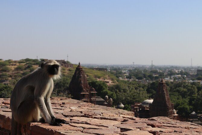 Mandore Garden Walking Tour - Who Is This Tour Best For?