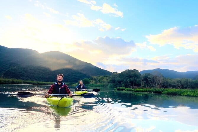 Mangrove Kayaking in Amami Oshima Island Tour - Practical Details and Tips