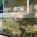 Manila Seafood Experience Market to Table - What to Expect from the Manila Seafood Market to Table Tour